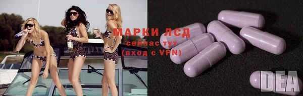 гидропоника Алзамай