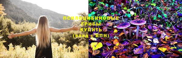 гидропоника Алзамай