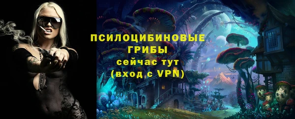 стафф Алексеевка