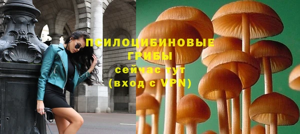 гидропоника Алзамай
