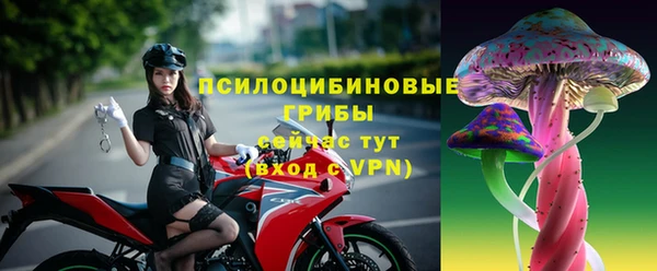 стафф Алексеевка
