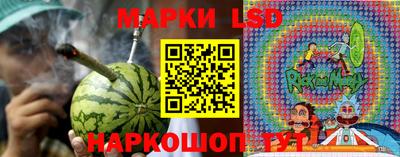 прущие грибы Рязань