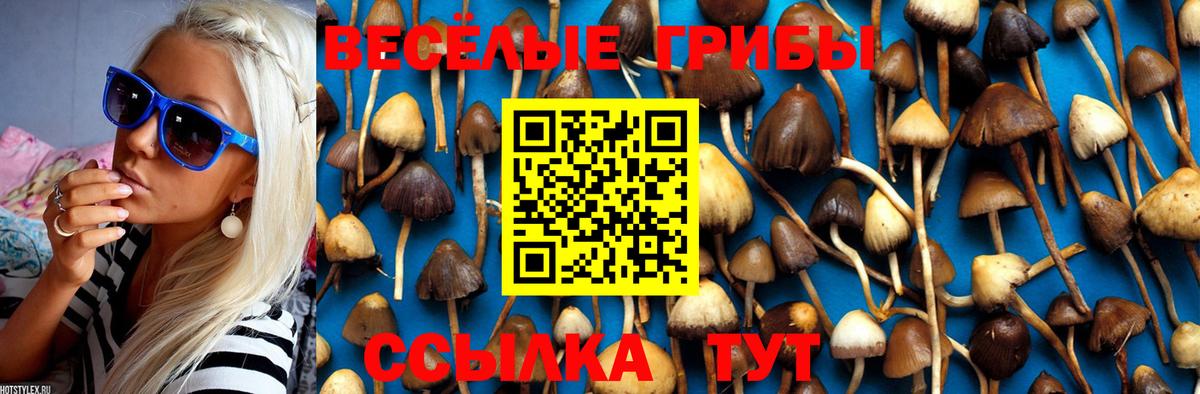 Галлюциногенные грибы Cubensis  Галлюциногенные грибы Magic Shrooms  Вход с VPN  Бирск 